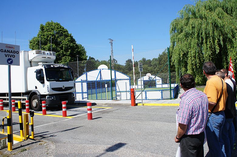 2016 08 06 ManifaServicarneFrigolouroPorrinho22.JPG